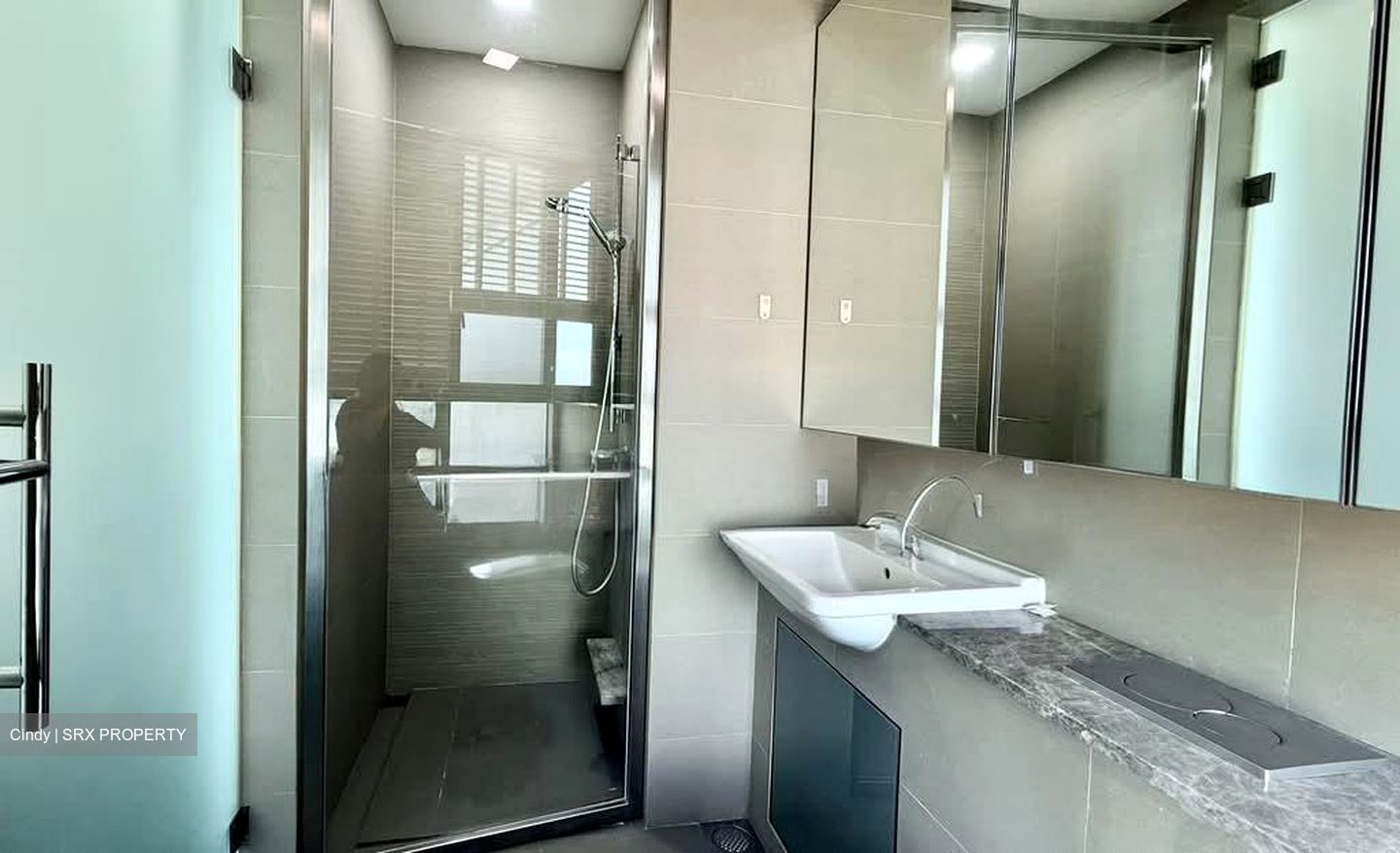 Skyline Residences (D4), Condominium #580248081